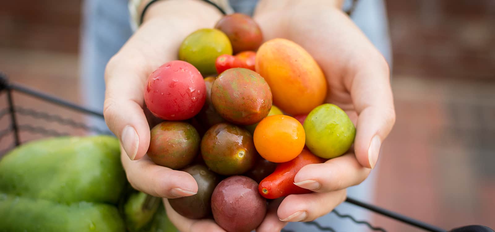grapes in hand